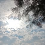 Douglas Hendrickson - @sjiivmaihrsji - Instagram