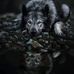 Douglas Hendrickson - Facebook