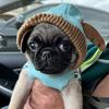 Douglas Hensley - @douglas.hensley53 - TikTok