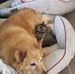 Doug Herndon - Facebook