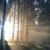 Douglas Herrmann - Facebook