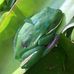 Port Douglas Accommodation - Flagstaff Pavilion Holiday House - Facebook