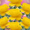 Douglas Jaramillo - @douglas.jaramillo1 - TikTok