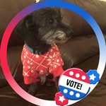 Douglas Kerney - @kerneydouglas - Instagram