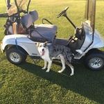 Douglas Kerner - @douglaskerner_bootjack - Instagram