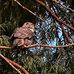 Douglas Kerner - Facebook