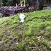 Takashi Douglas Kimura - Facebook