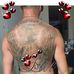 Doug Kish - Facebook
