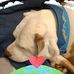 Douglas Kite - Facebook