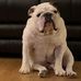 Doug Klopp - Facebook