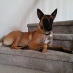 Douglas Koehler - @douglak82 - Instagram