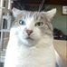 Doug Kovacic - Facebook