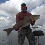 Doug Lanham - @dgenelanham - Instagram