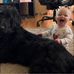 Doug Lanham - Facebook