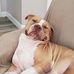 Doug Lapp - Facebook