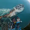 Doug Larkin - @destindiver - TikTok