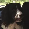 Doug Laughlin - @user737799802 - TikTok