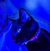 Douglas Mclaughlin - Facebook