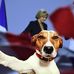 Douglas le Chien - Facebook