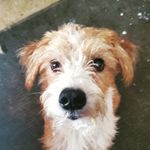 Douglas Lear - @learwick23 - Instagram