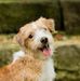 Douglas Lear - Facebook