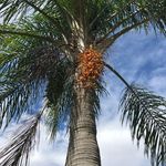 Douglas LeDuc - @douglas.leduc.58 - Instagram