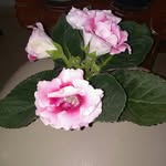 douglas leiva - @d46deq6w - Instagram