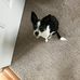 Douglas Lander - Facebook