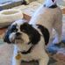 Doug Linderman - Facebook