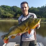 Douglas Link - @douglasfernandolink - Instagram