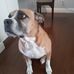 Doug Linklater - Facebook