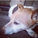 Dougie Lowe - @douglas_lowe - Instagram