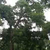 Douglas Lowrey - @douglas.lowrey - TikTok