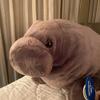 Isaac Douglas - @isaac.koth - TikTok