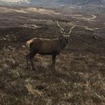 Douglas Macleod - @douglasmacleod18 - Instagram