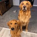 Douglas Macleod & Anthony Edward - @theadventuresofdougandtony - Instagram