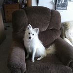 Douglas MacPherson - @macdaddy19599 - Instagram
