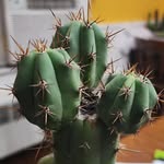 George Douglas McMahon - @georgedouglasmcmahon - Instagram