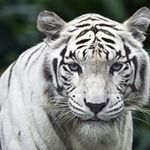 Douglas Mccallum - @douglasmccallum49 - Instagram