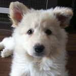 Douglas McCray - @wildbill3584 - Instagram