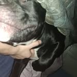 Douglas McIntyre - @mcintyre9367 - Instagram