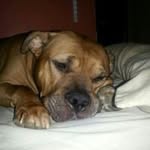 Douglas Minton Jr. - @mintonjr.douglas - Instagram