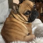 Eugene Douglas Minton - @eugene_minton - Instagram