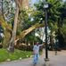 Douglas Alonzo Moncada - Facebook