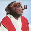 Doug - @monkeydouglas - TikTok
