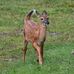 Doug Moorhead - Facebook