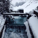 Douglas Newby - @dpnewby - Instagram