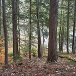 Douglas Nicholson - @ettaboy61 - Instagram