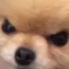 Douglas - @douglasnowacki - TikTok