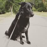 Douglas Öhlin - @douglasohlin - Instagram